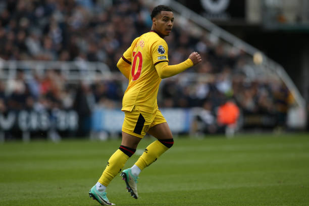 包括歐洲國 包括歐洲國